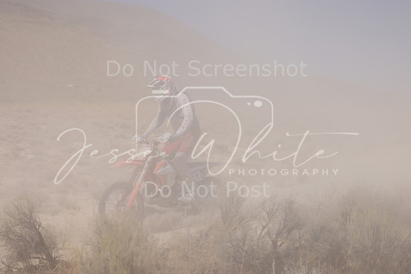IMG_3881-112c