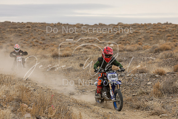 IMG_0248-110y
