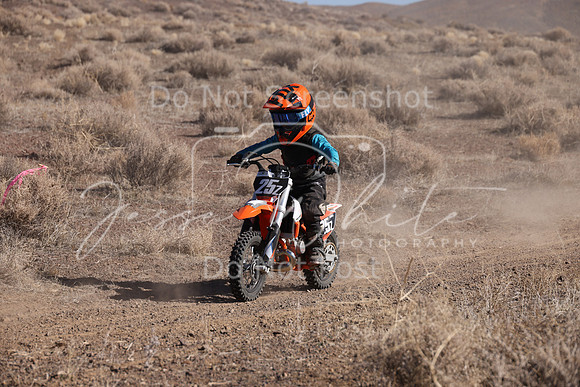 IMG_7254-25z