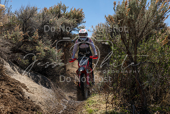 IMG_0538-333v