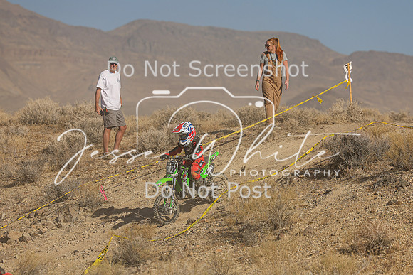 IMG_0338-242y