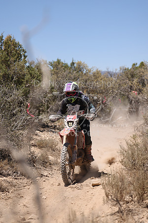 IMG_8240-13w