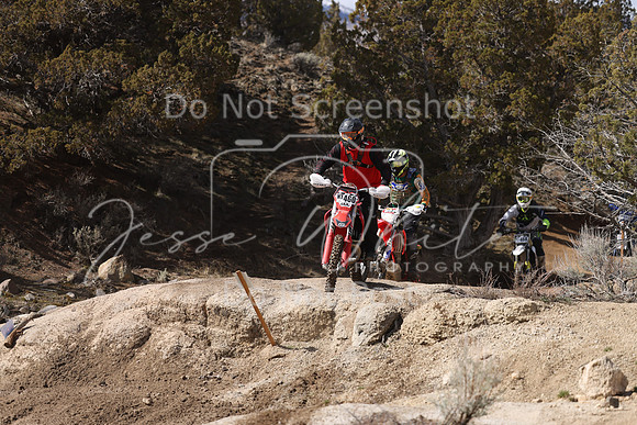 IMG_9503-n460