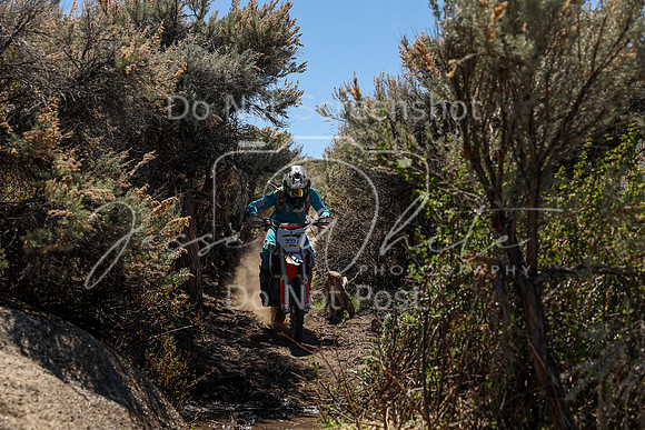 IMG_0288-999j