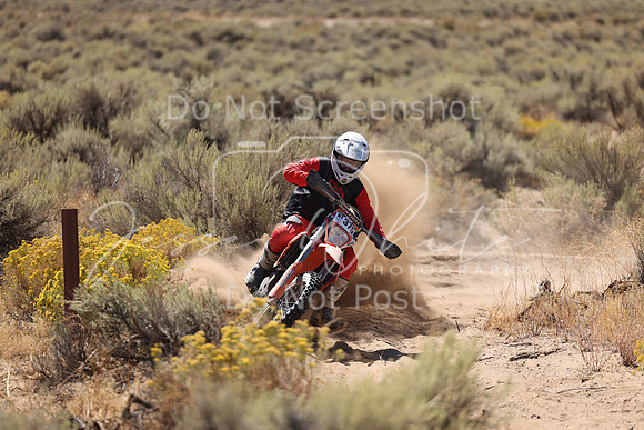 IMG_1475-nt375