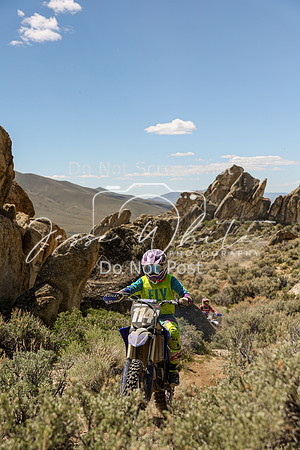 IMG_9123-114a