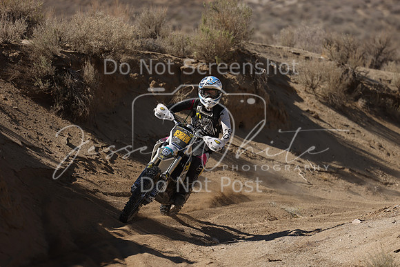 IMG_7103-321v